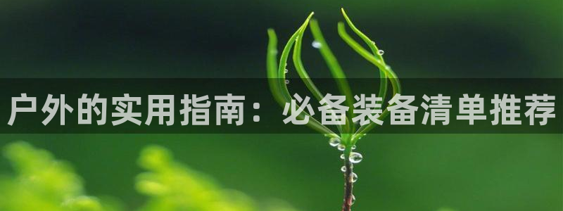 新宝GG反点