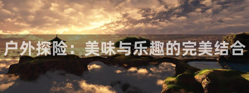关于新宝GG