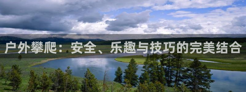 广东新宝电器gg
