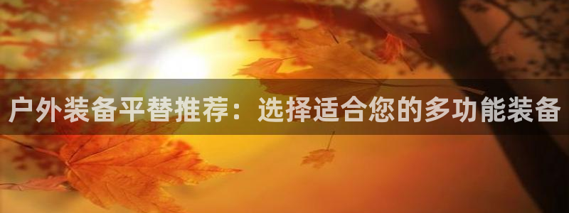 新宝gg网投