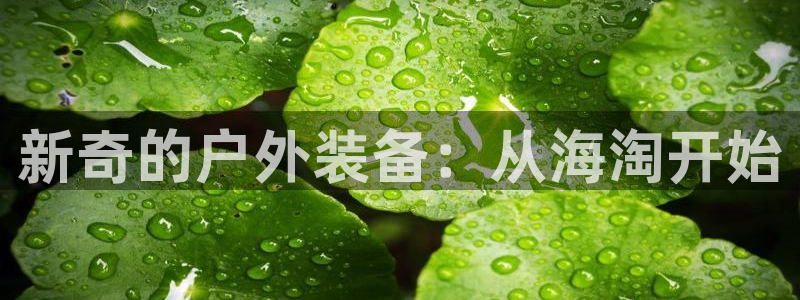 新宝gg官方