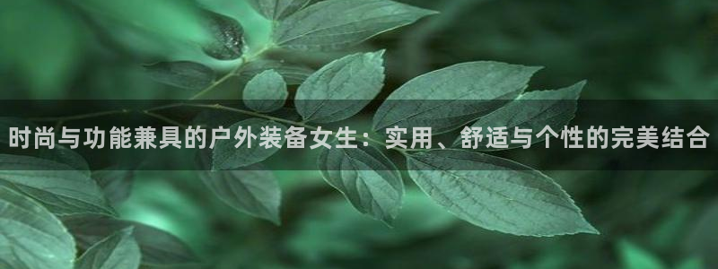 新宝gg公司