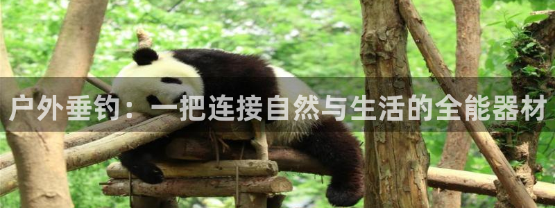 新宝gg招商致胜团队