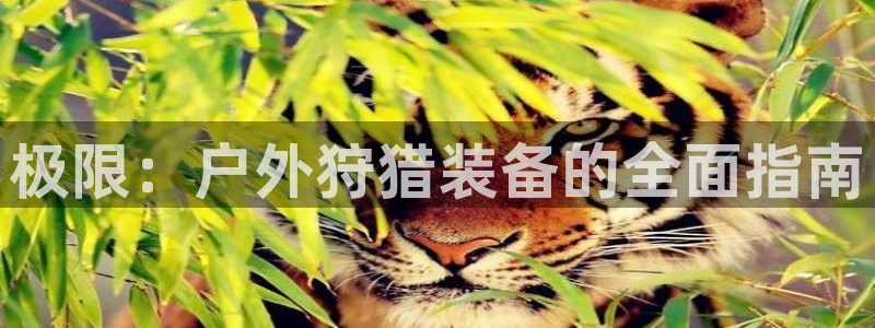新宝gg有假吗