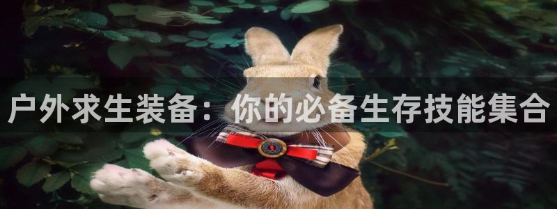 新宝gg棋牌