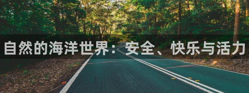 新宝GG之家