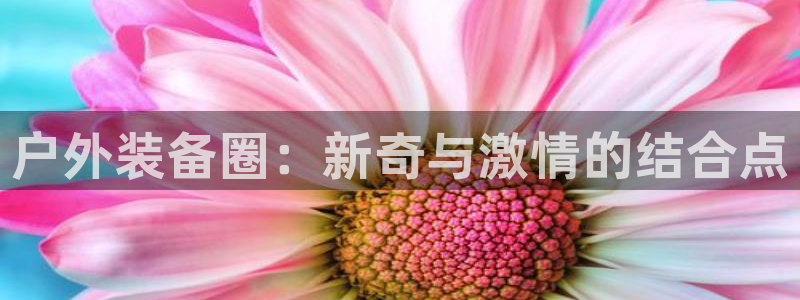 新宝gg总部