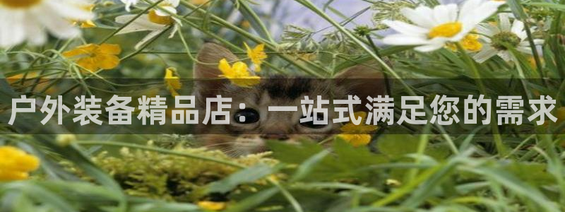 新宝gg登录网址