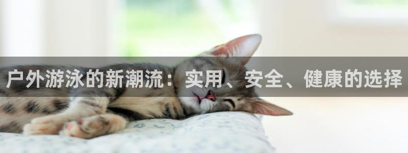 新宝GG挂机