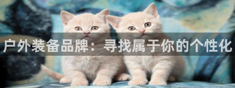 新宝gg技术