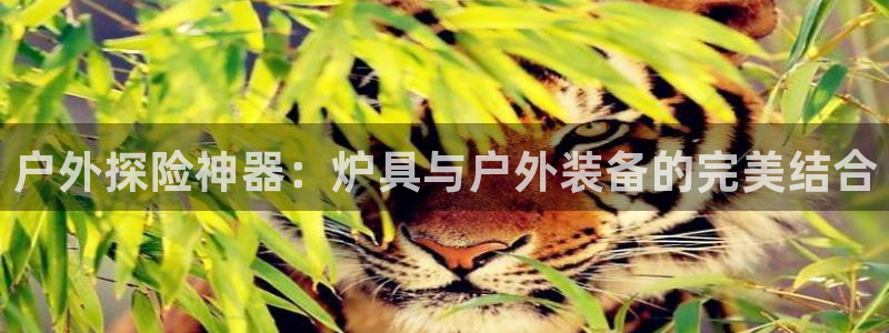 新宝gg娱乐登录地址