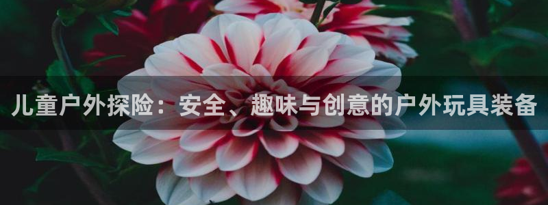 新宝gg招商-299136