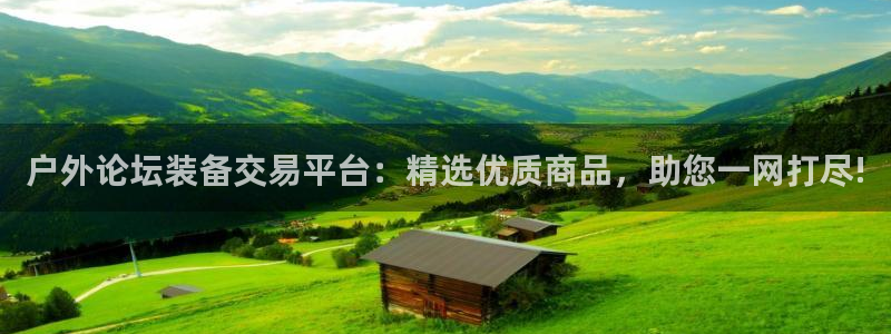 正版新宝gg