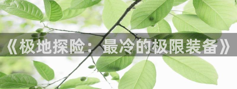 新宝gg1956登陆