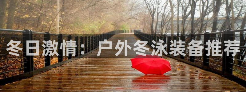 新宝gg代理