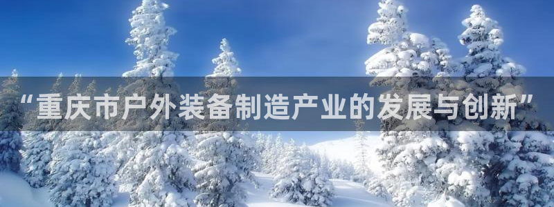 新宝gg app