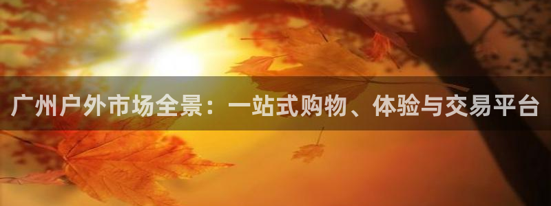 广东新宝电器gg