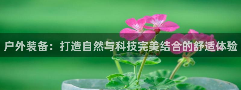 新宝gg会员登录