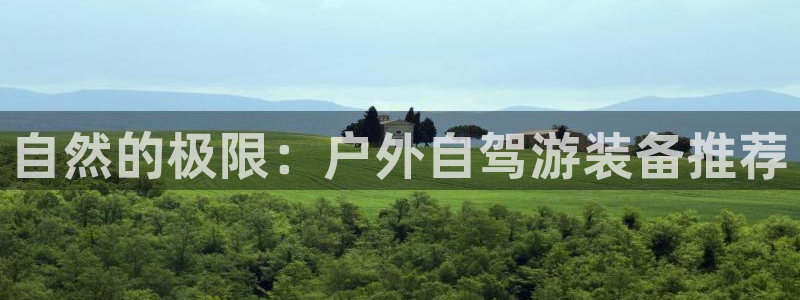 新宝gg账号