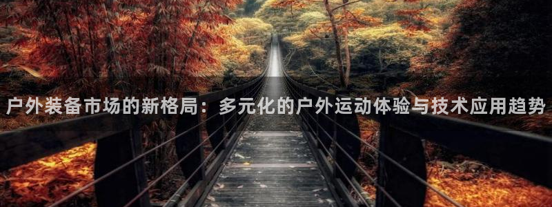 新宝gg联系