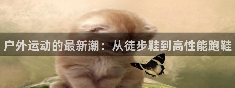 新宝GG冰冰