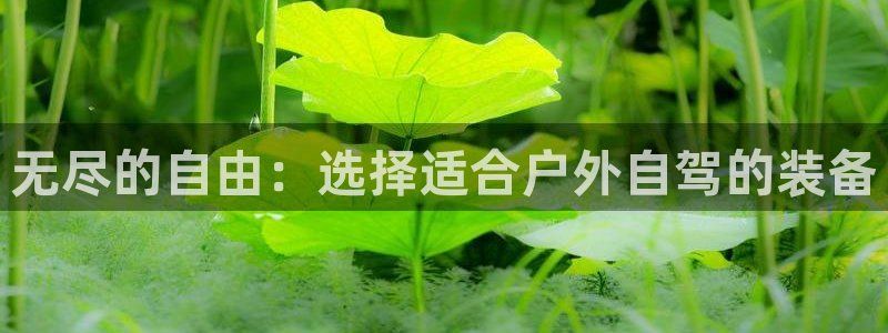 新宝 gg 总代理