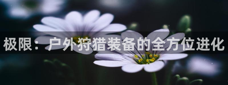 新宝gg试玩