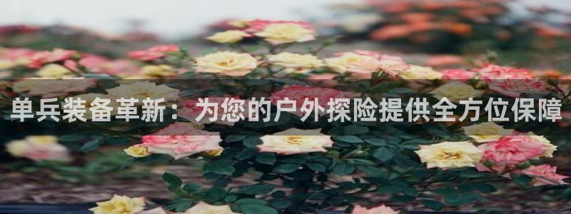 新宝gg手机助手