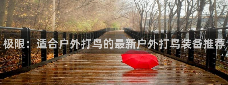 新宝gg帐号注册