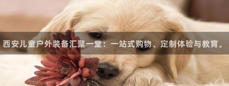 新宝六与新宝gg