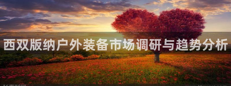 新宝gg如何注册登录