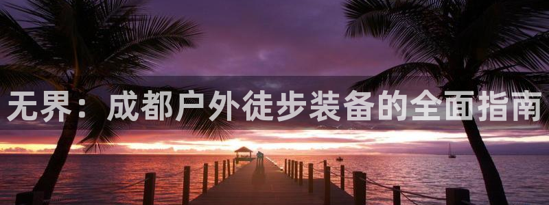 新宝gg软件下载