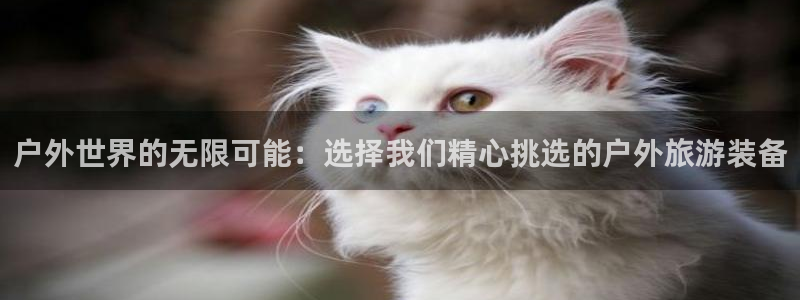 新宝gg创造奇迹