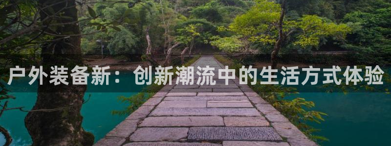 新宝gg分红