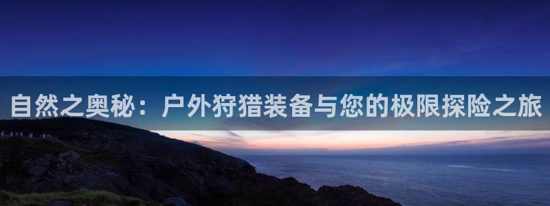新宝gg是什么