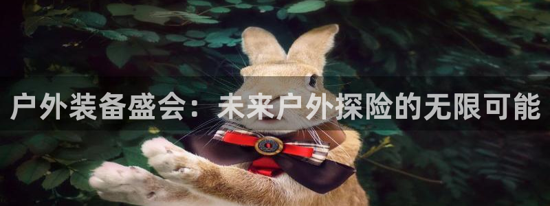 新宝gg网投