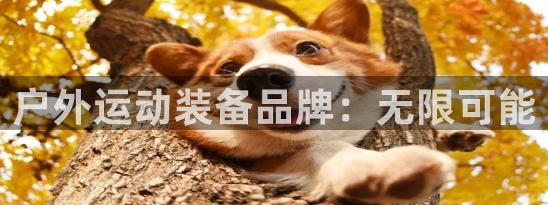 新宝gg好吗