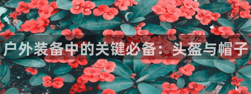 新宝GG反点