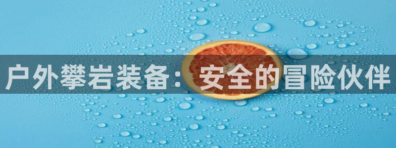 新宝gg 登录页面