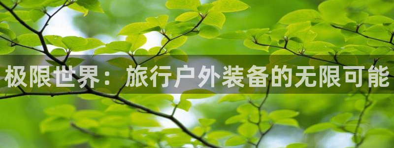 新宝gg刷流水