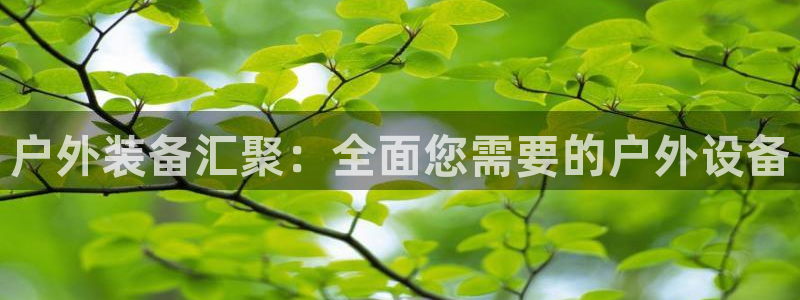 宝GG账78778新宝GG俪78778