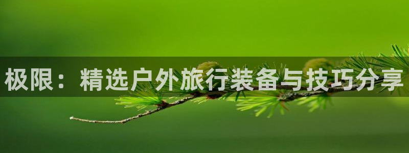 新宝gg 登录页面