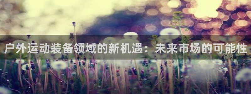 新宝gg平台怎么样