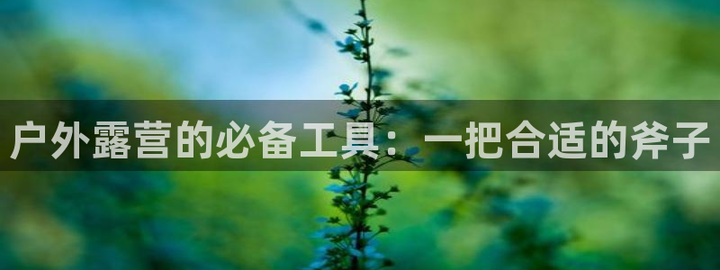 新宝gg登录注册