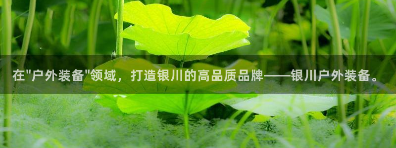 新宝GG娱乐下载