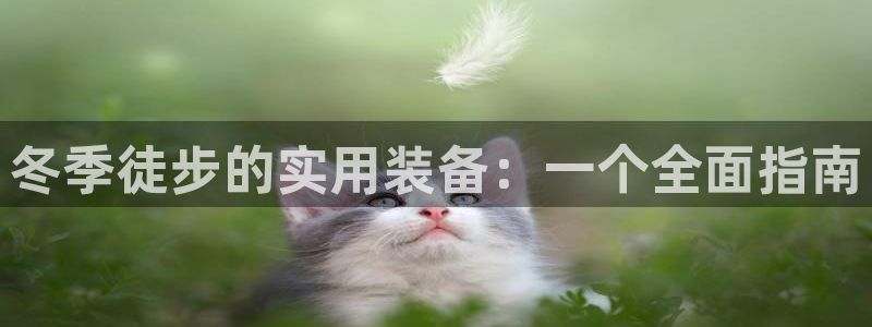 新宝gg套利