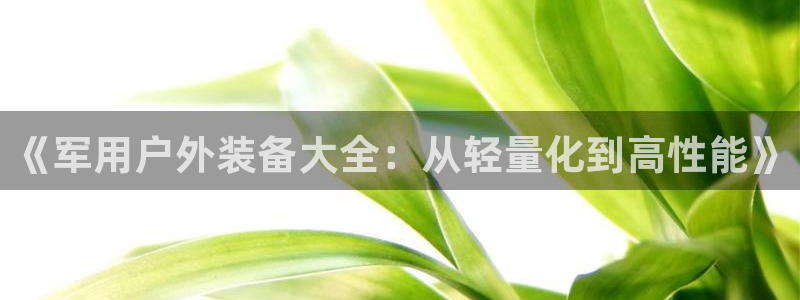 新宝gg3
