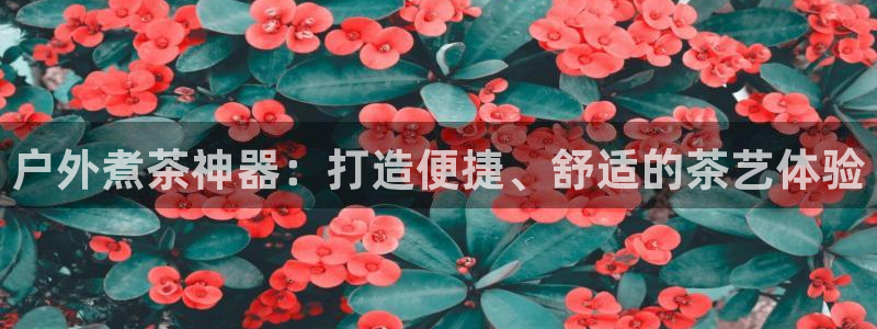 gg新宝创新