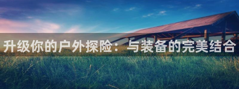 新宝gg手机登录