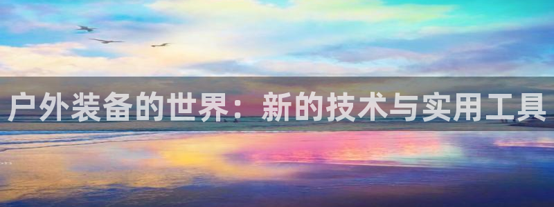 新宝gg指定平台